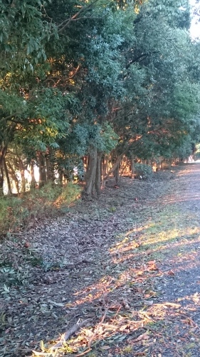 e0351303_20172172.jpg