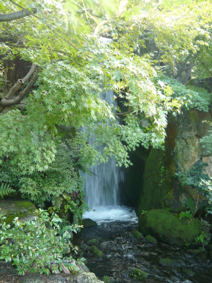 京都の梅小路公園行って来ました。_a0139007_17281285.jpg