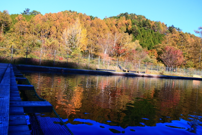 e0174008_17043706.jpg