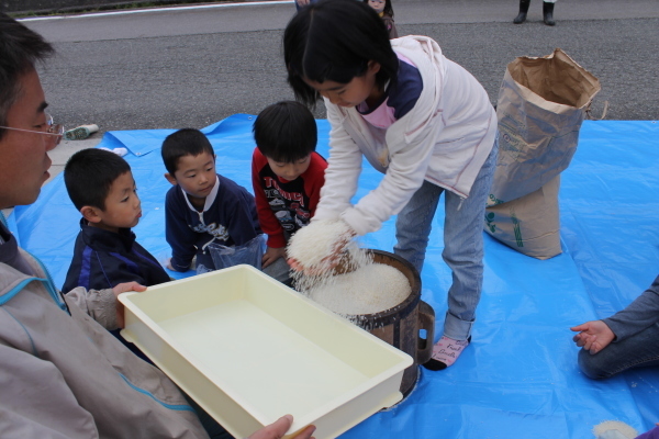 田んぼアート稲作体験～稲刈り編～_b0281312_16494585.jpg