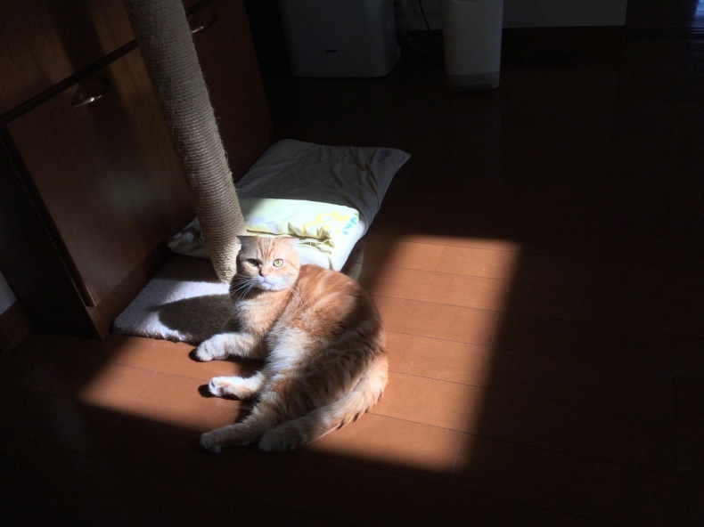 陽だまり_d0344913_20163860.jpg