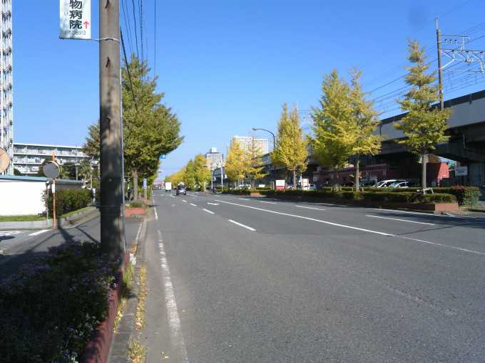 f0376214_16431079.jpg