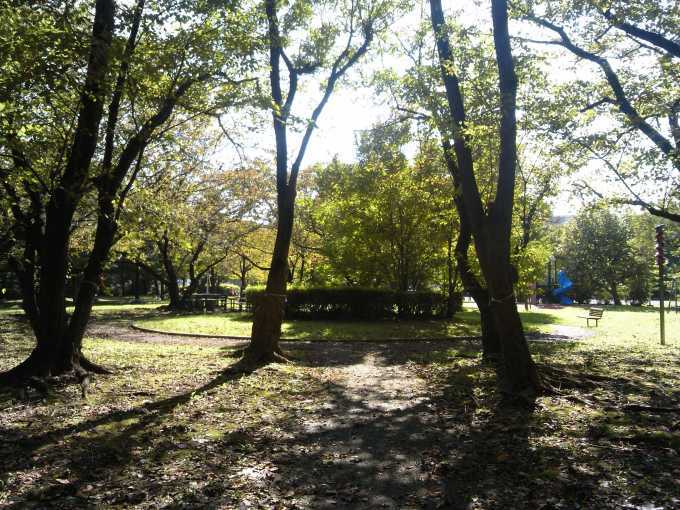 f0376214_16442281.jpg