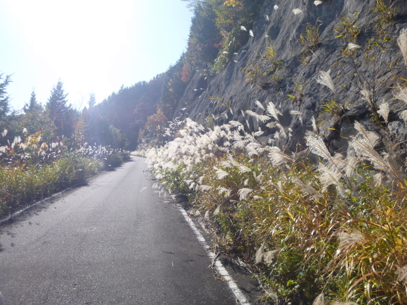 d0170615_20313986.jpg