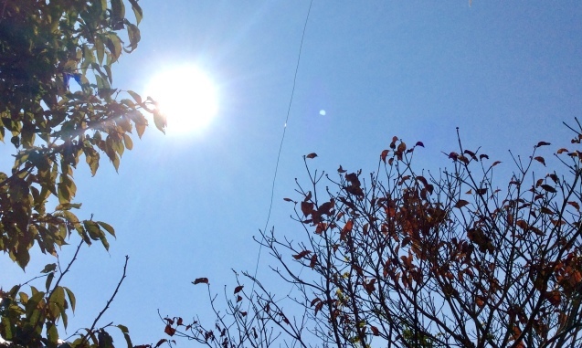 b0344816_00033322.jpeg