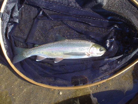 f0280717_15354941.jpg