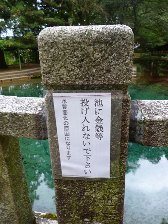 f0228619_1038440.jpg