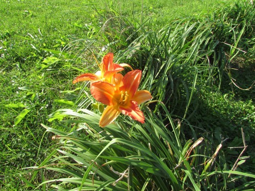 f0139520_00020307.jpg