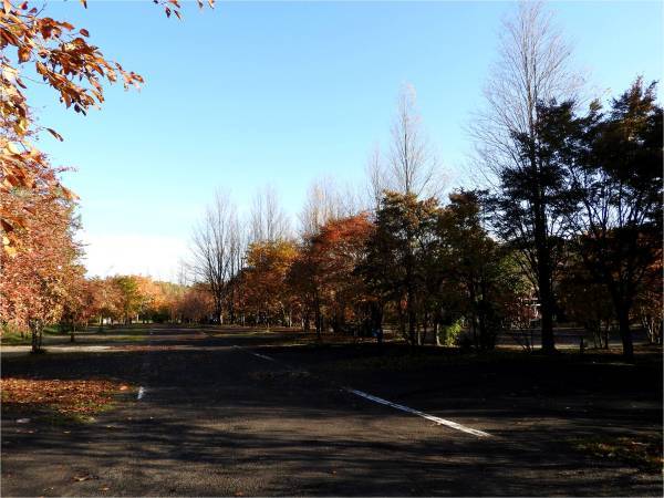週末の天気と気温(10月4週目)_b0174425_09160310.jpg