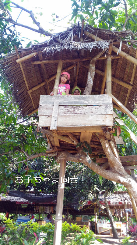 絶景　GanggaのTreeHouse も行こう_a0310535_17220613.jpg