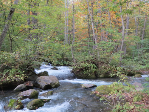 e0259738_06274796.jpg