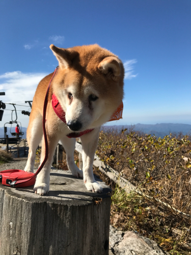 青森旅行カミイ編2日目_e0259738_07384596.jpg