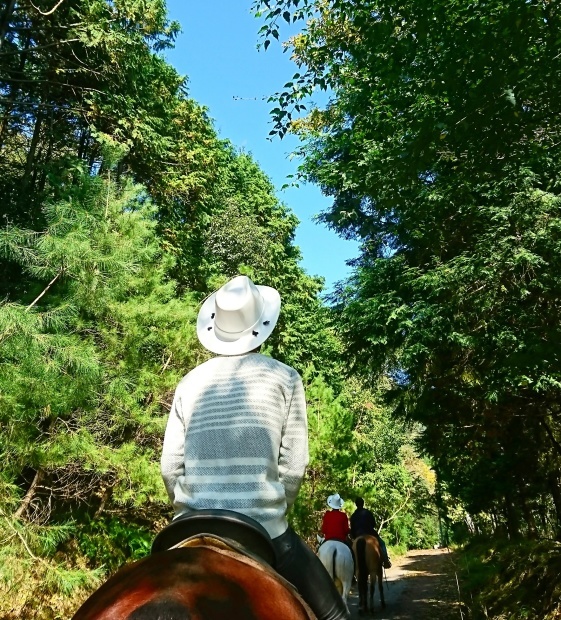 e0145441_01400395.jpg