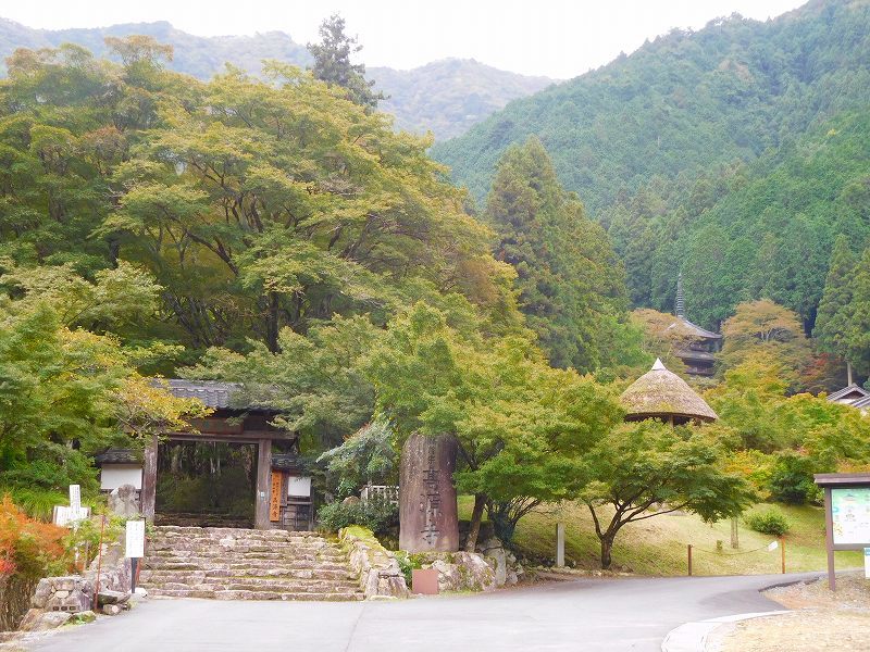 丹波古刹第9番札所「高源寺」(福知山)20171018_e0237645_23365581.jpg