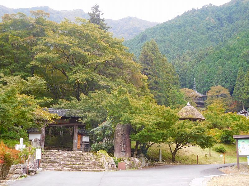 丹波古刹第9番札所「高源寺」（福知山）20171018_e0237645_23365581.jpg