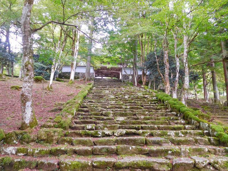 丹波古刹第9番札所「高源寺」(福知山)20171018_e0237645_23365645.jpg