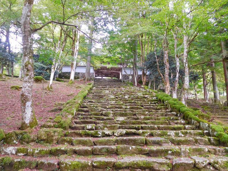 丹波古刹第9番札所「高源寺」（福知山）20171018_e0237645_23365645.jpg