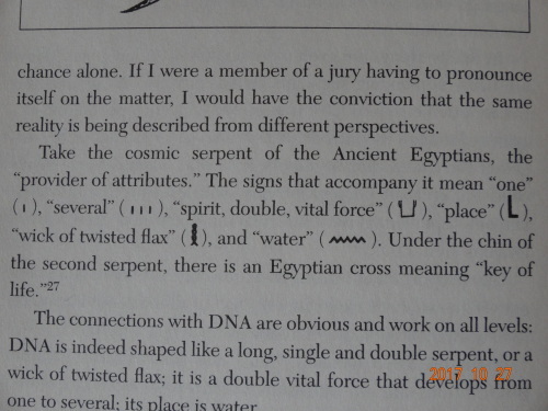 『THE COSMIC SERPENT　DNA AND THE ORIGINS of KNOWLEDGE 』の翻訳　_c0367251_11442742.jpg