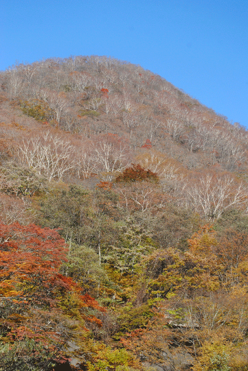 10月27日　赤城山 秋の終りの風景_a0001354_23460766.gif