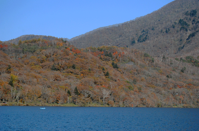 10月27日 赤城山 秋の終りの風景_a0001354_23484582.gif