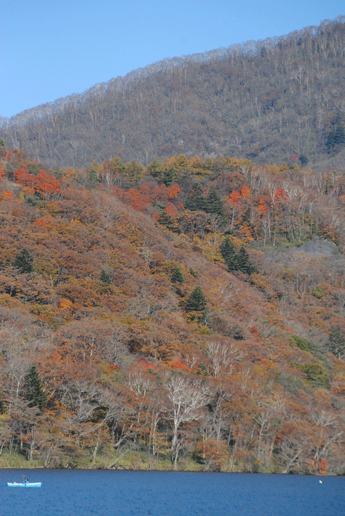 10月27日　赤城山 秋の終りの風景_a0001354_23485600.gif