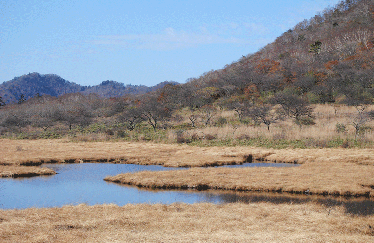 10月27日　赤城山 秋の終りの風景_a0001354_23540603.gif