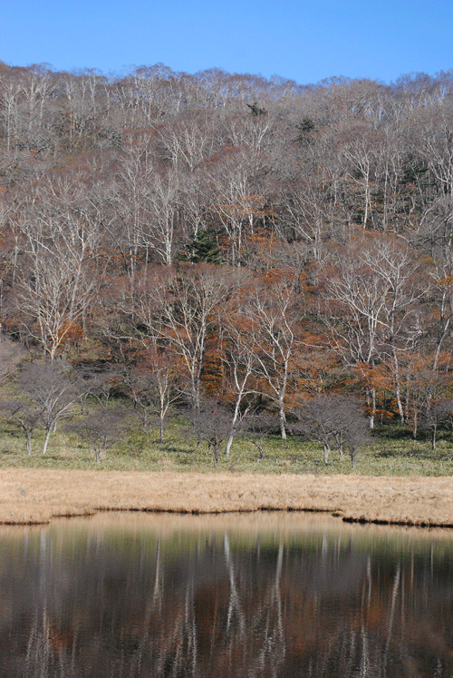 10月27日　赤城山 秋の終りの風景_a0001354_23541919.gif