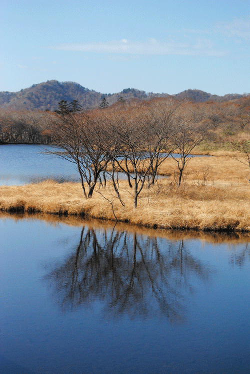 10月27日　赤城山 秋の終りの風景_a0001354_23551992.gif