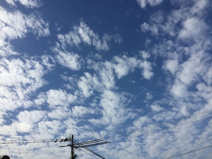 b0329556_00324939.jpeg
