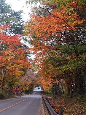 b0335256_11573901.jpg