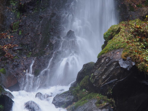 b0335256_12185492.jpg