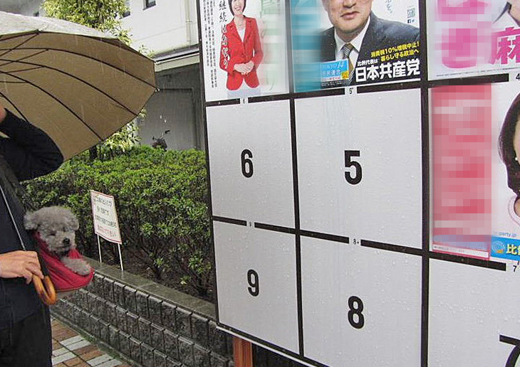 台風21号と衆議院議員選挙_e0129656_23072001.jpg