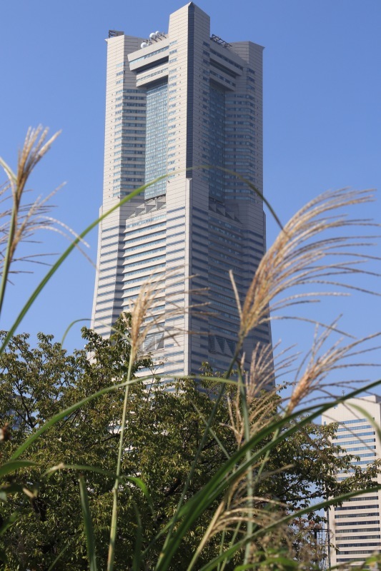 a0248459_13362603.jpg