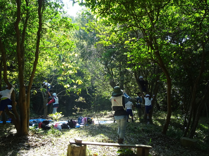 c0108460_22342979.jpg