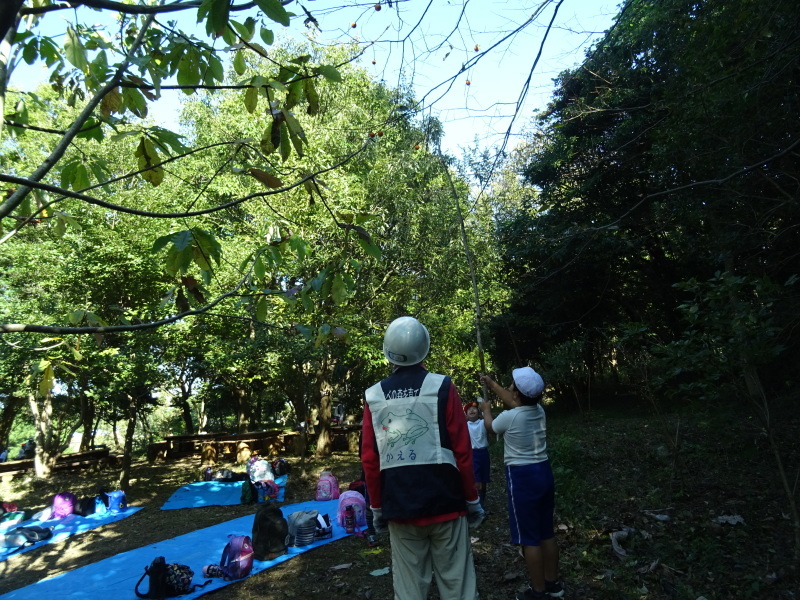c0108460_22362713.jpg
