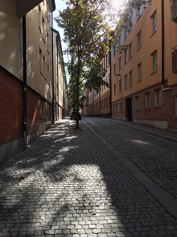 c0130060_20380518.gif