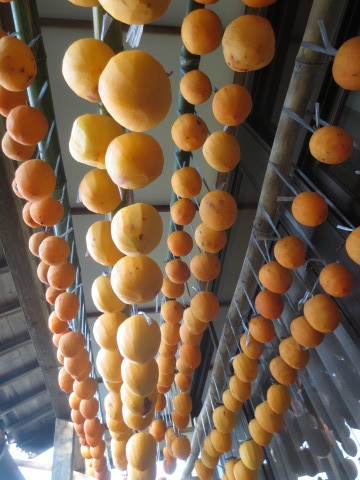 c0223463_09091372.jpg