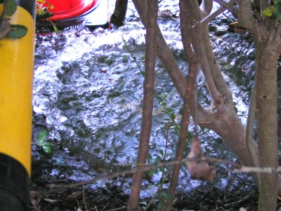 c0112172_0364778.jpg