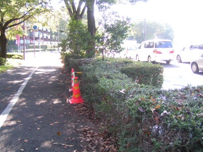 c0112172_0365375.jpg