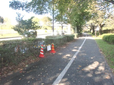 c0112172_0365668.jpg