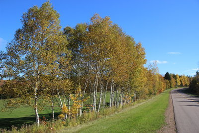 c0353373_22571675.jpg