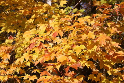 c0353373_22572785.jpg