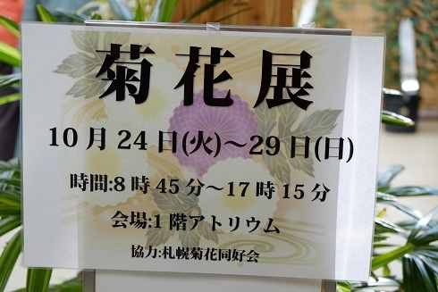 豊平公園の「菊花展」と「紅葉」。行ってきました。秋です。_f0362073_06391522.jpg