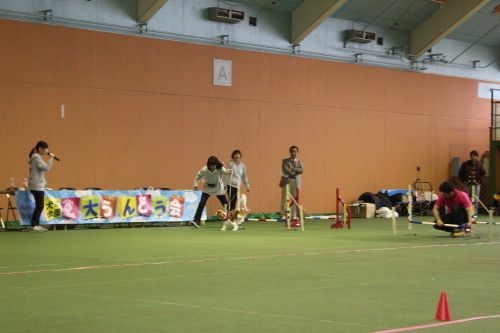 e0114977_11582333.jpg