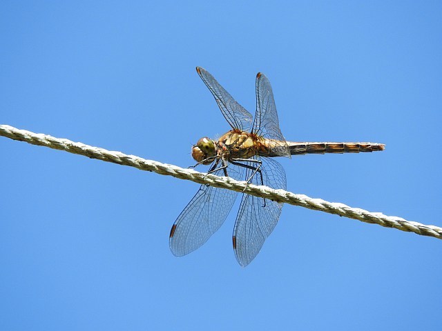 f0378979_19371293.jpg