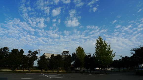 c0212083_17590744.jpg