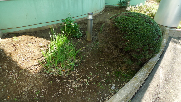 c0212083_17593396.jpg