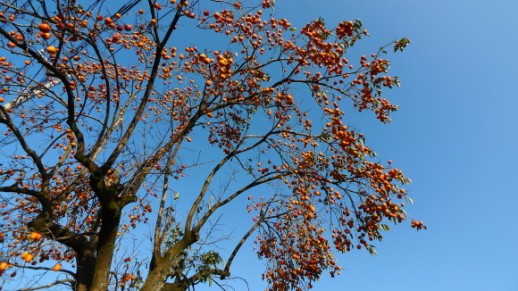 c0212083_18010380.jpg