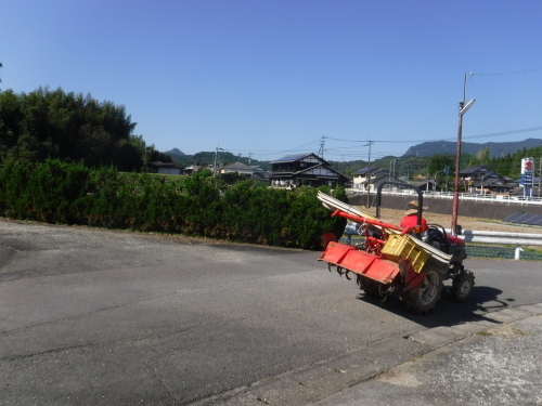 d0195183_01141955.jpeg