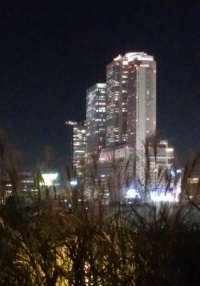 e0060483_23364121.jpg